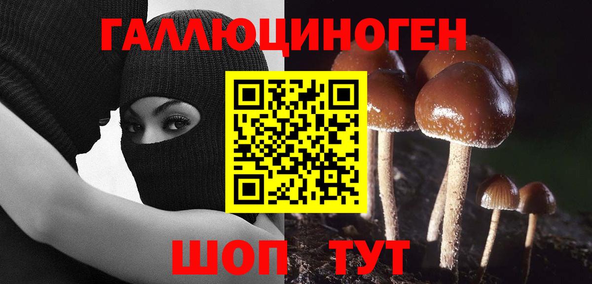 Чернушка  Галлюциногенные грибы мухоморы  Псилоцибиновые грибы ЛСД  Вход с VPN 