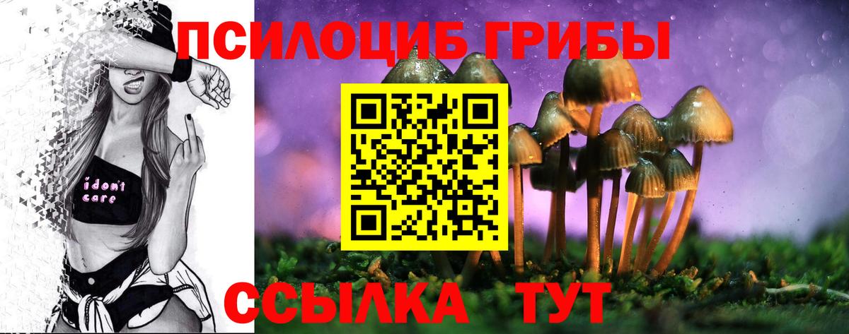 Галлюциногенные грибы MAGIC MUSHROOMS Чернушка
